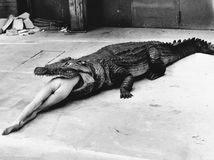 Žena v krokodílej papuli, odhalené bradavky či osamelá Romy Schneider. Pozrite si najlepšie fotky Helmuta Newtona