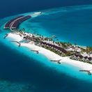NEPOUZ, Maldivy, exotika, Pelikán