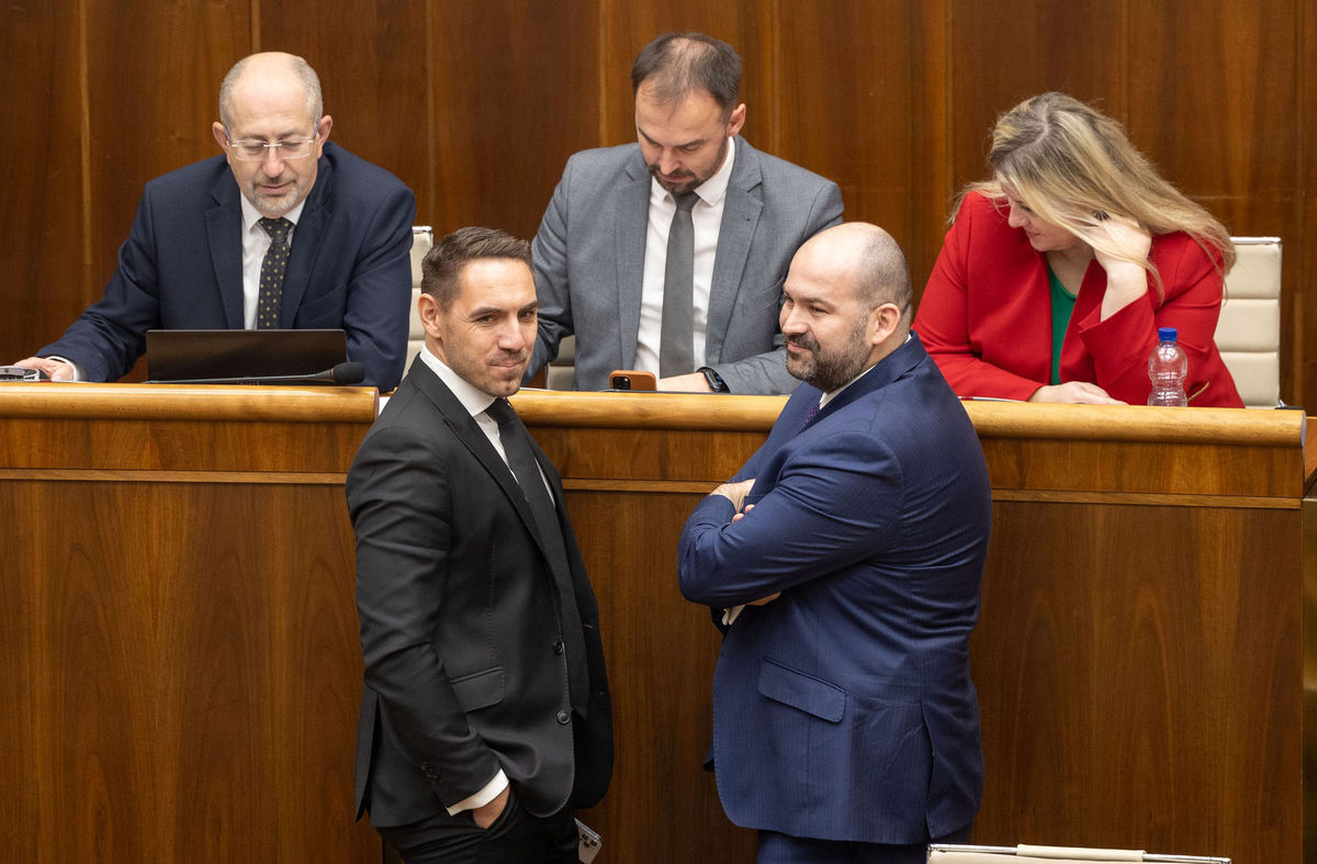 Rozprava k odvolávaniu vlády premiéra Eduarda...