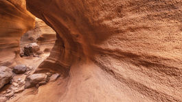 Las Vacas, Gran Canaria.