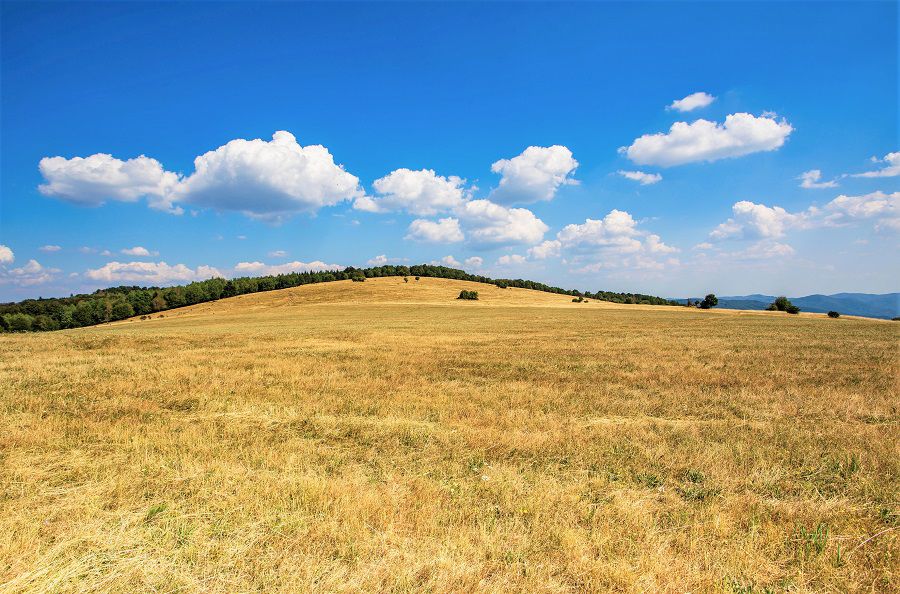 Vrch Vojšín