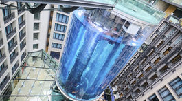 Germany Aquarium Bursts