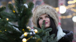 Rusko, Vianoce, zima, stromček