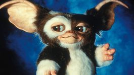 Gremlins
Billy dostane nezvyčajný darček:...