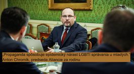 Anton Chromík, Homofób roka