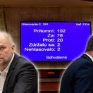 Richard Sulík, Igor Matovič, volebné preferencie