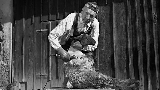 Emil Prcín, Važec, 66 rokov.