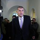 Čapí hnízdo / Andrej Babiš /