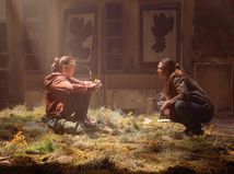 the last of us,