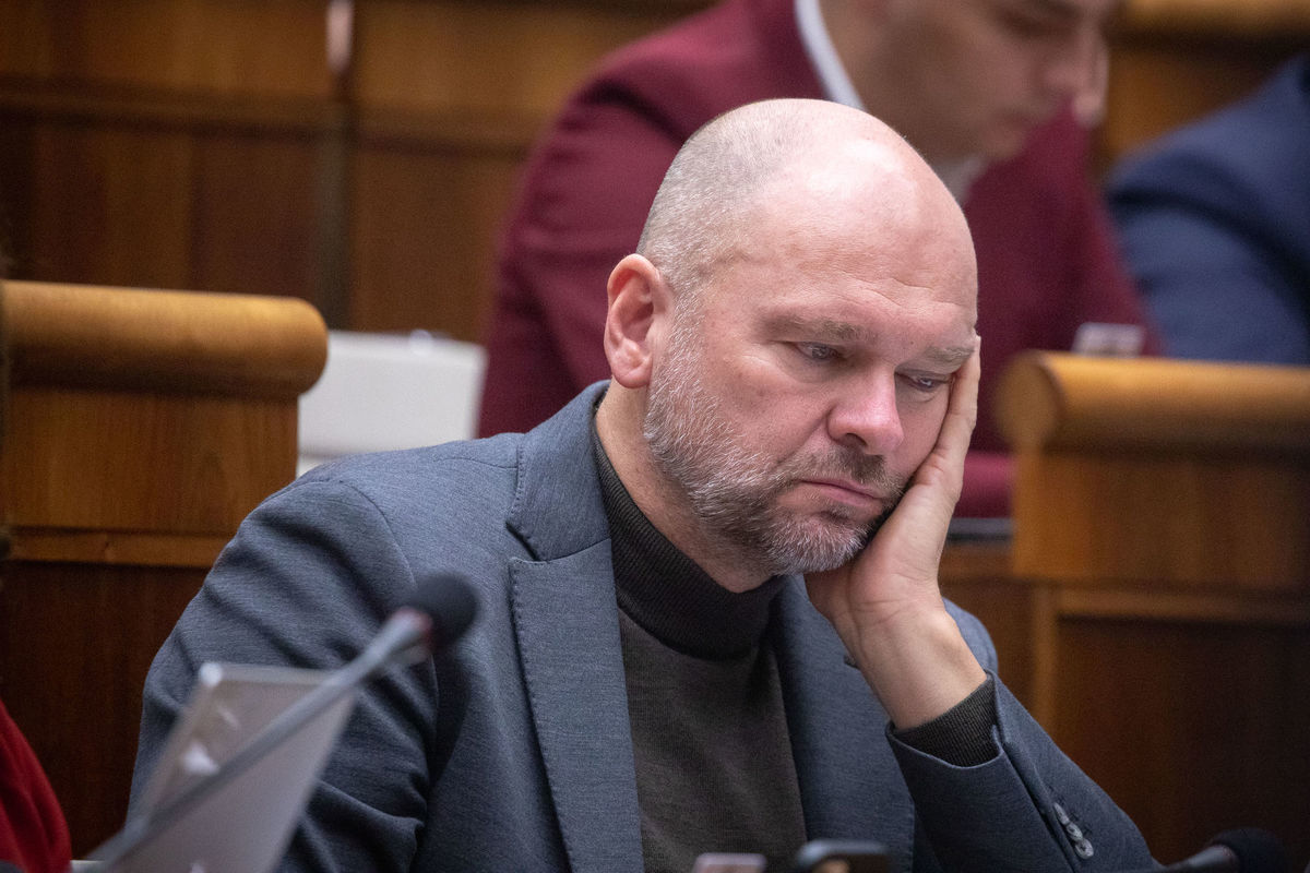 Poslanec SaS Richard Sulík