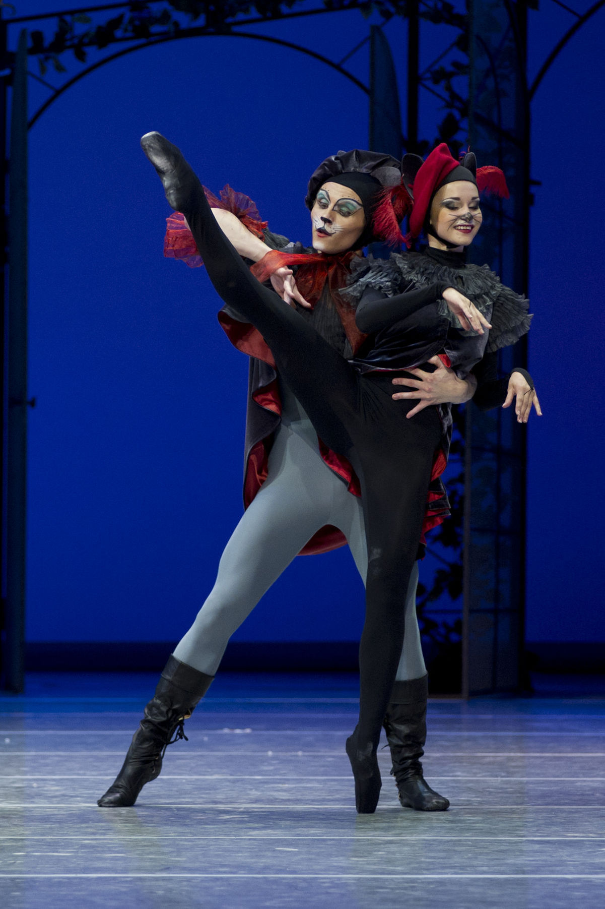 Spiaca krásavica,  Katarina Singhofferova...