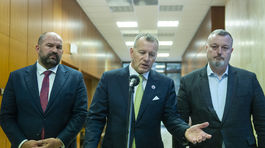 Richard Sulík, Peter Pčolinský, Milan Krajniak