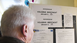 SR referendum23 hlasovanie Košice KEX