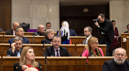 parlament, hlasovanie, predčasné voľby, zmena ústavy, Jana Vaľová, Smer, vlajka