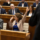 parlament, hlasovanie, predčasné voľby, zmena ústavy, Richard Sulík, Mária Kolíková, Anna Zemanová