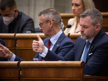 Peter Pellegrini, parlament