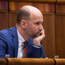 Gábor Grendel, parlament
