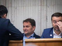 Igor Matovič, Marek Krajčí, parlament