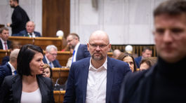 Jana Bittó Cigániková, Richard Sulík, SaS, parlament
