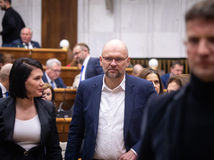 Jana Bittó Cigániková, Richard Sulík, SaS, parlament
