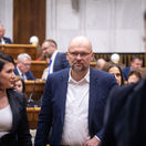 Jana Bittó Cigániková, Richard Sulík, SaS, parlament