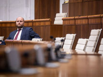 Jaroslav Naď, parlament
