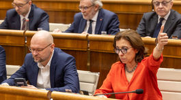 Richard Sulík, Anna Zemanová, parlament
