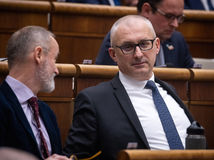 Tomáš Valášek, Miroslav Kollár, parlament