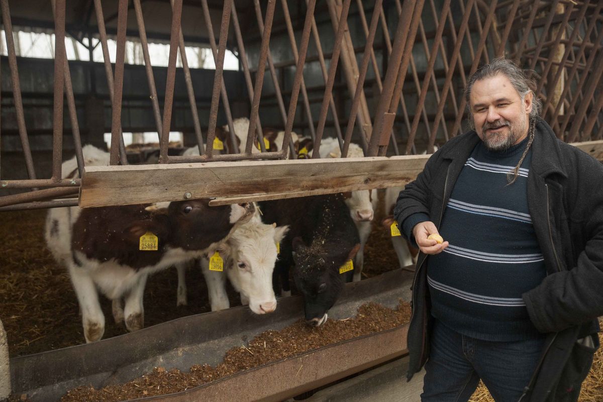 Farmár Attila Knapp chová býčkov, hospodári na...