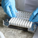 lekáreň, laboratórium, kapsuly, tobolky, príprava liečiv