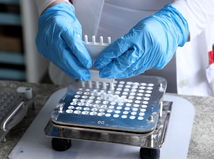 lekáreň, lieky, prášok, laboratórium, ruky