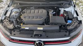 Volkswagen Polo GTI 2.0 TSI (2023)