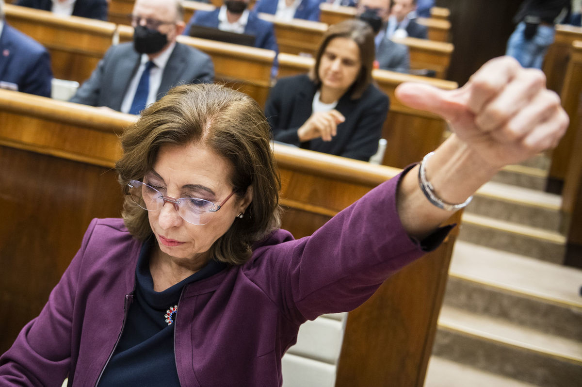 Na snímke opozičná poslankyňa a predsedkyňa...