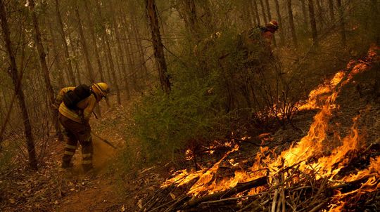 Lesné požiare v Čile si vyžiadali už najmenej 23 mŕtvych a takmer tisíc zranených