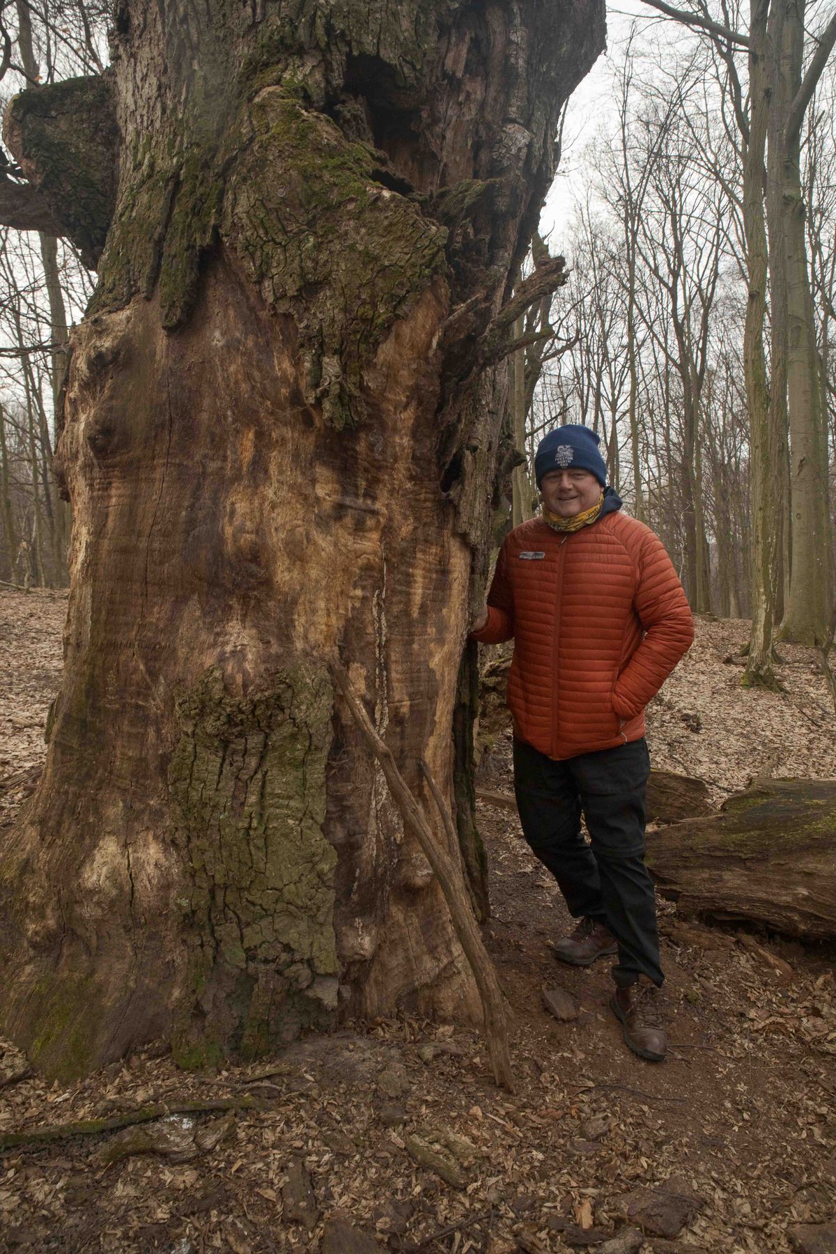 Lovec stromov "tree hunter"...