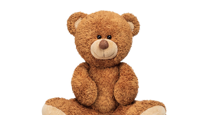medvedík, plyšový medvedík, teddy bear