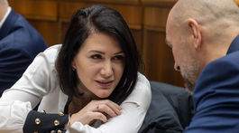 Cigániková, Sulík, parlament