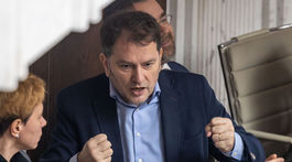 Igor Matovič, parlament