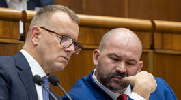 Kollár, Pčolinský, parlament
