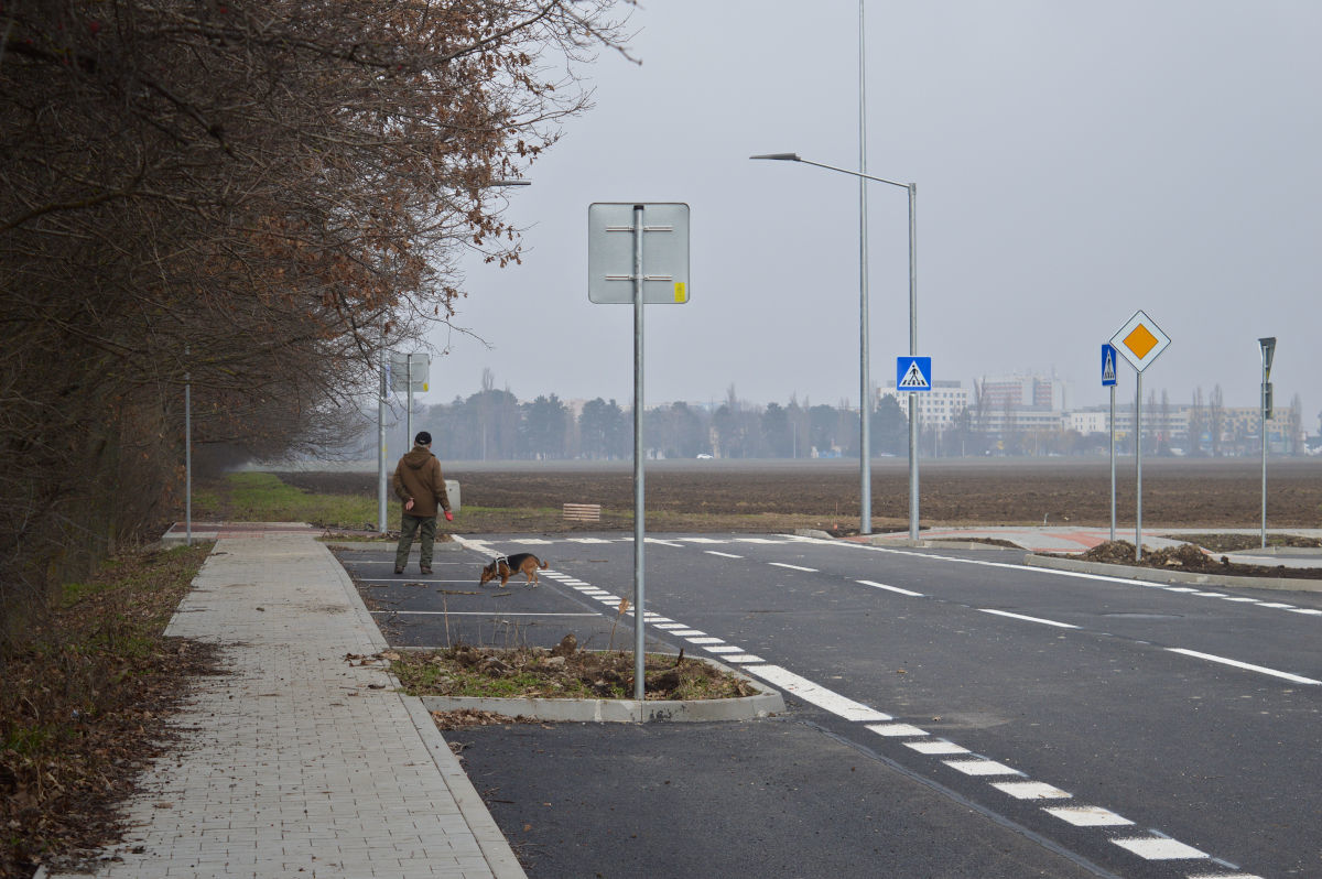Cestné napojenie na budúcu trnavskú mestskú štvrť.