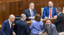 parlament, kollár, pčolinský, sulík, zemanová
