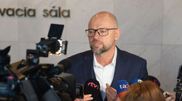 parlament, Richard Sulík,