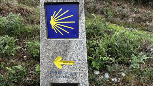 Žlté šípky sprevádzajú pútnikov na každom...