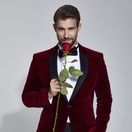 tomáš tarr, ruža pre nevestu,