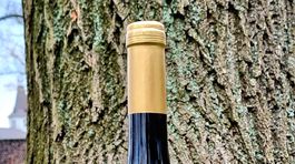 Nedávno založená Pivnica Čebovce upozorňuje na potenciál vín rovnomennej  vinohradníckej obce. Na Vinalies odštartovala.