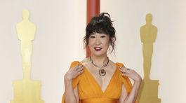 Herečka Sandra Oh sa objavila v modeli Giambattista Valli Couture.