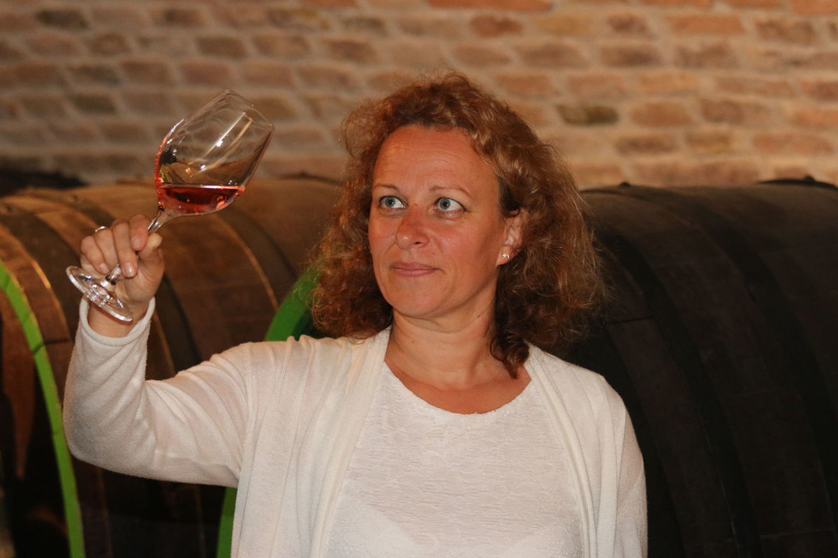 Jaroslava Kaňuchová-Pátková: Kolekcia Zámockého...