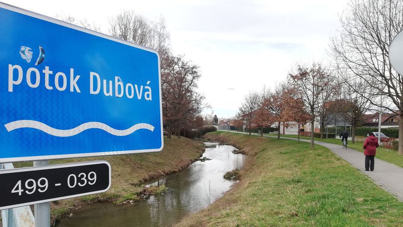 Nutrie sú v Piešťanoch po celej dĺžke potoka...