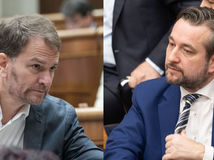 Blaha Matovič ospravedlnenie