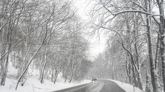 Na snímke zasnežený les pri obci Slanec v...